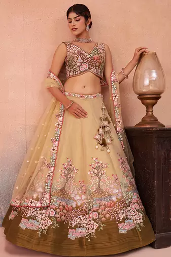 Olive- Net Sequins Embroidered Omber Olive Semi-Stitched Lehenga choli & Dupatta