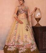 Olive- Net Sequins Embroidered Omber Olive Semi-Stitched Lehenga choli & Dupatta