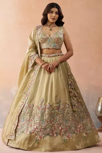 Beige- Tissue Sequinned with Zarkan Embroidered Semi-Stitched Lehenga & Unstitched Blouse With Dupatta
