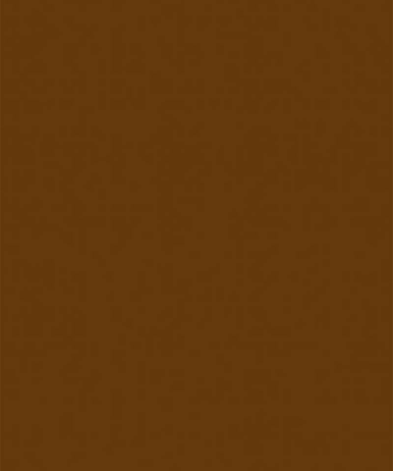 Brown printed silk co ord set