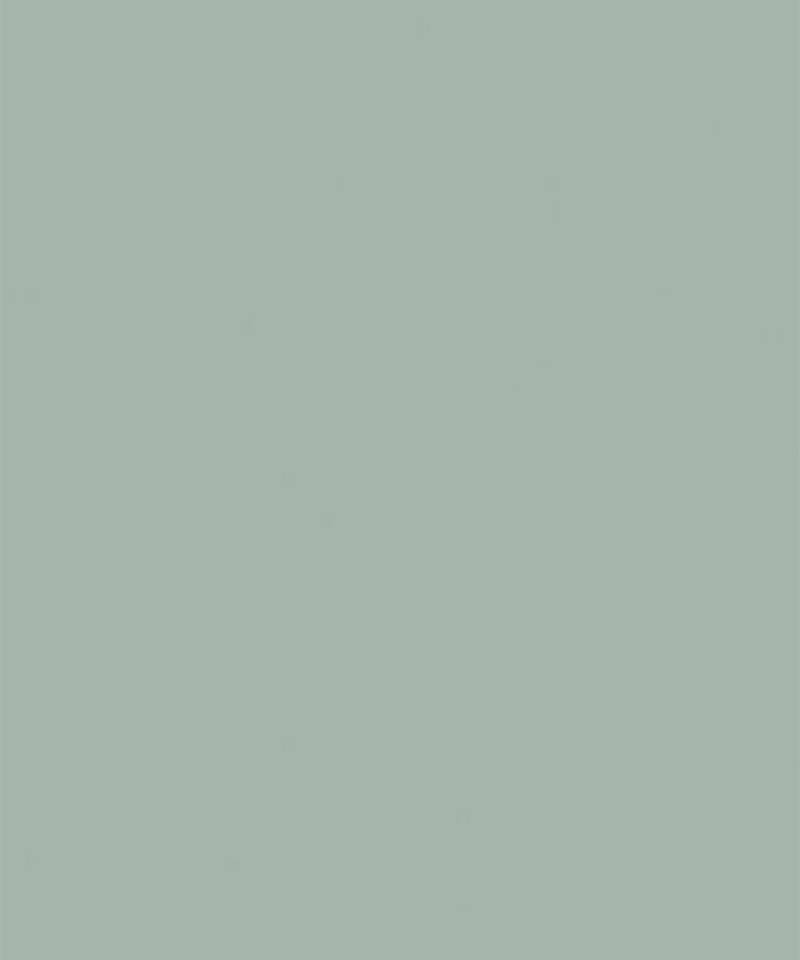 Light green embroidered crepe sharara set