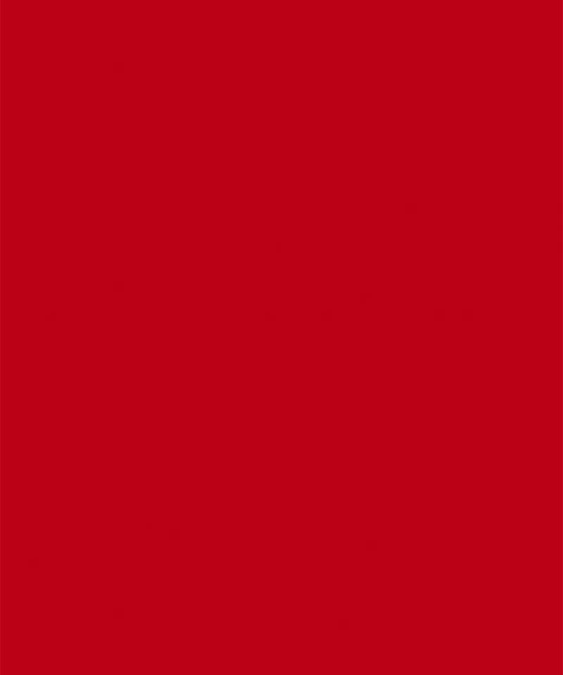 Red embroidered net fusion set