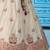 Cream- Tissue Sequins Embroidered Semi-Stitched Lehenga & Unstitched Blouse With Dupatta