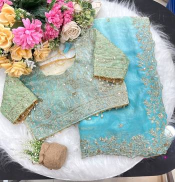 Sky Blue Color Embroidery Sequence work fendy satin Saree 3