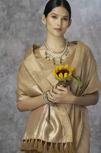 chiku elegant cotton silk blend saree | light & comfortable | single piece available
