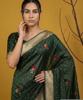 Soft organza meenakari woven saree with jamdani zari pallu and brocade blouse 2