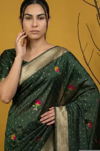 Soft organza meenakari woven saree with jamdani zari pallu and brocade blouse