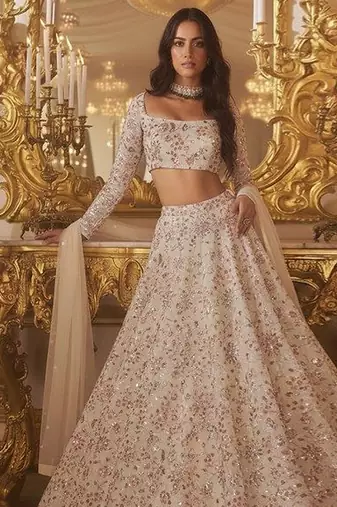 Beige Embroidered Net Lehenga Set