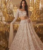Beige Embroidered Net Lehenga Set