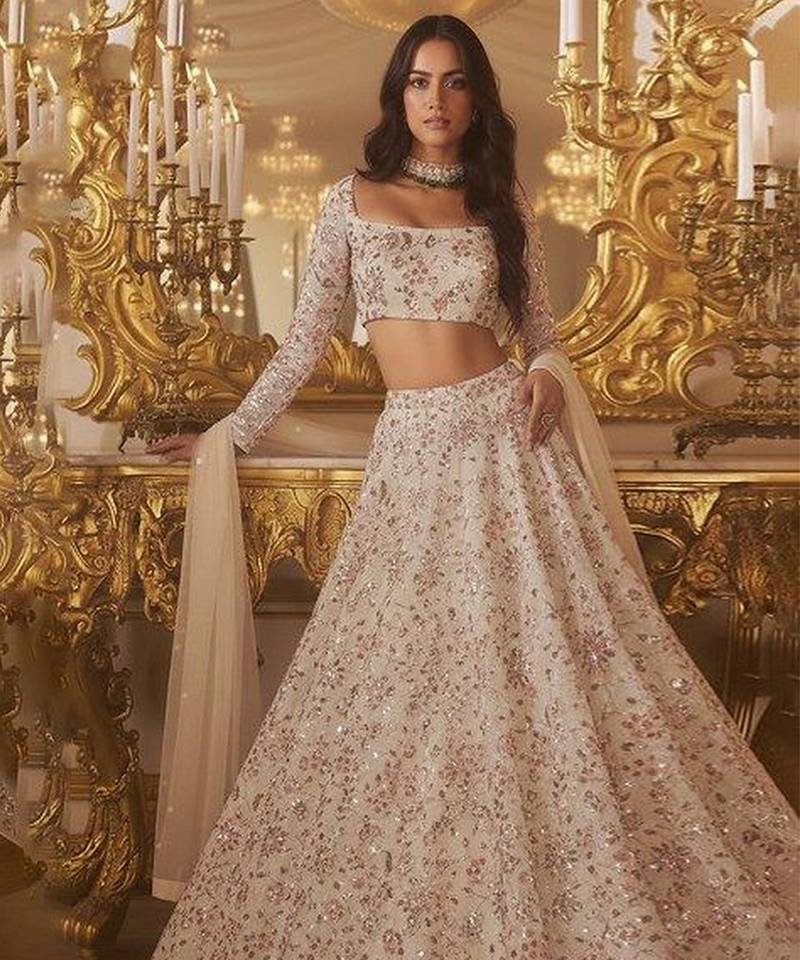 Beige Embroidered Net Lehenga Set