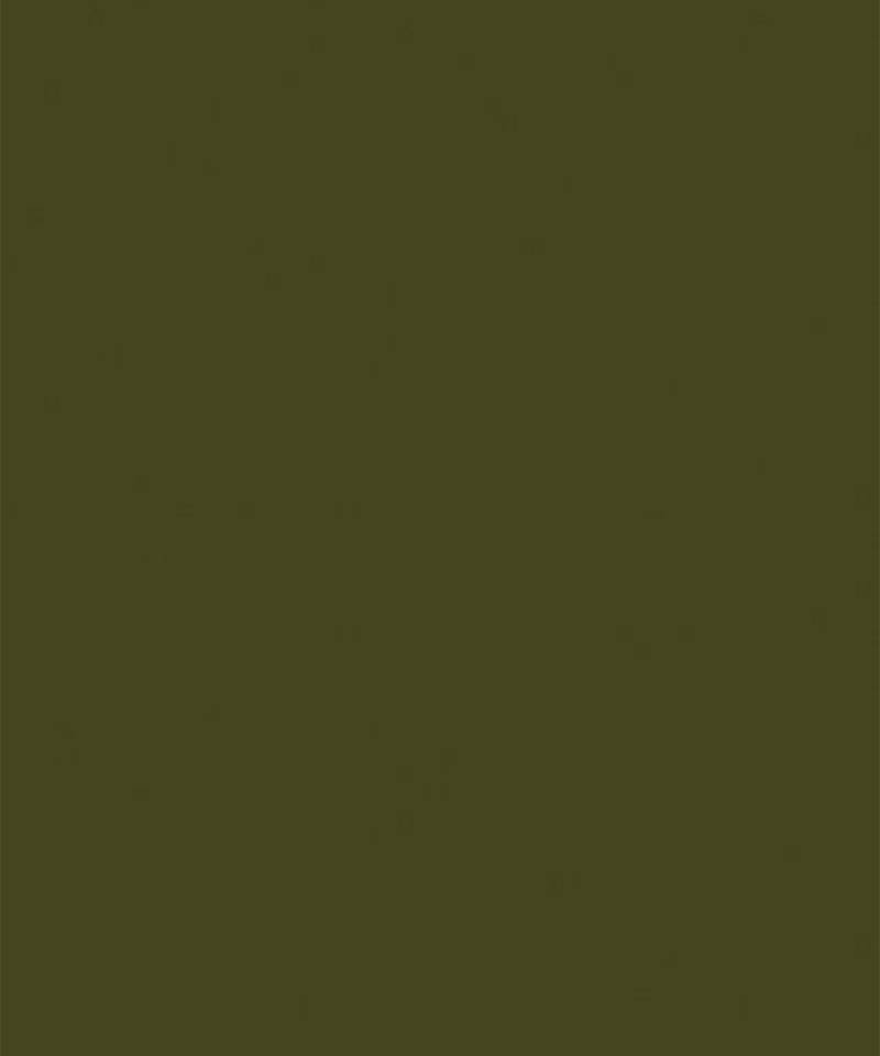 Green Printed Crepe Lehenga Set