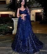 Blue Embroidered Net Lehenga Set