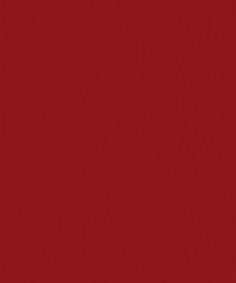 Red Georgette Lehenga Set