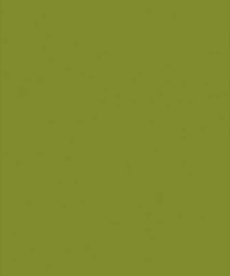 Green Printed Crepe Lehenga Set