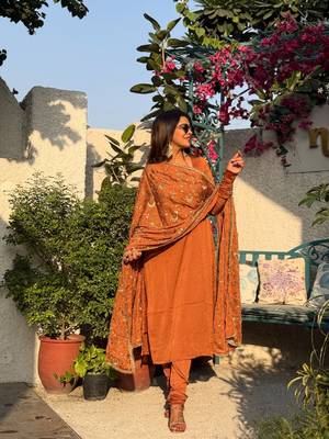 Rust color vichitra beautiful partywear dress for girls 4