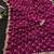 Plum color Sequence embroidery work with Cut  work border Chiffon Silk Saree