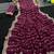 Plum Color Zari Work And Stone Work  Vichitra silk Saree