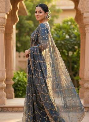 Sky Blue Color Sequence embroidery work with Cut  work border art silk saree 3