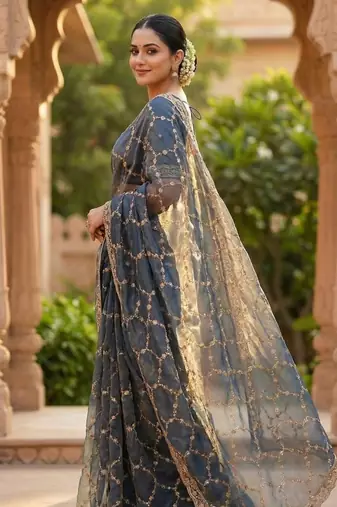 Sky Blue Color Sequence embroidery work with Cut  work border art silk saree