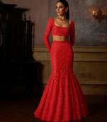 Red embroidered net fusion set