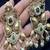 Rajwadi temple necklace set, antique gold jadau indian bridal jewelry set, elephant peacock motif