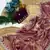 Wine color Embroidery Jari and Sequance work Space Silk Saree