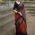 Rustic brown traditional silk blend saree