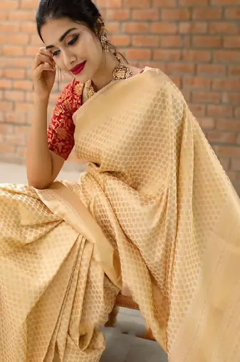 Classic beige silk blend designer saree
