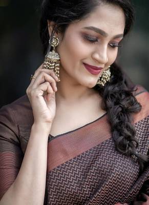 Elegant brown silk blend classic saree 2