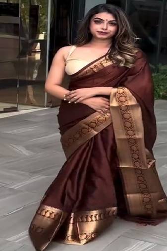 Classic brown traditional silk blend saree