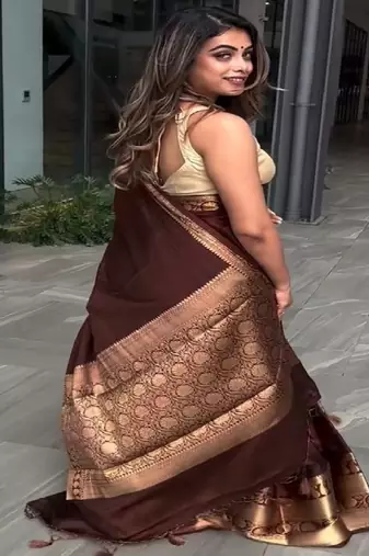 brown silk blend contrast border traditional saree