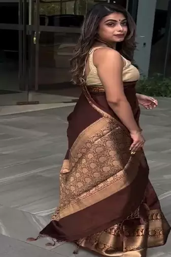 brown silk blend contrast border traditional saree