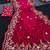 Rani Pink color sequnce with zari Thread work with piping border chiffon Saree