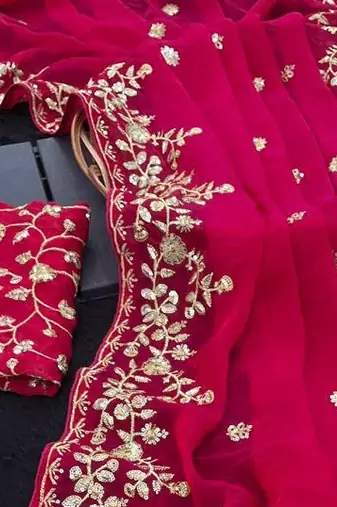 Rani Pink color sequnce with zari Thread work with piping border chiffon Saree