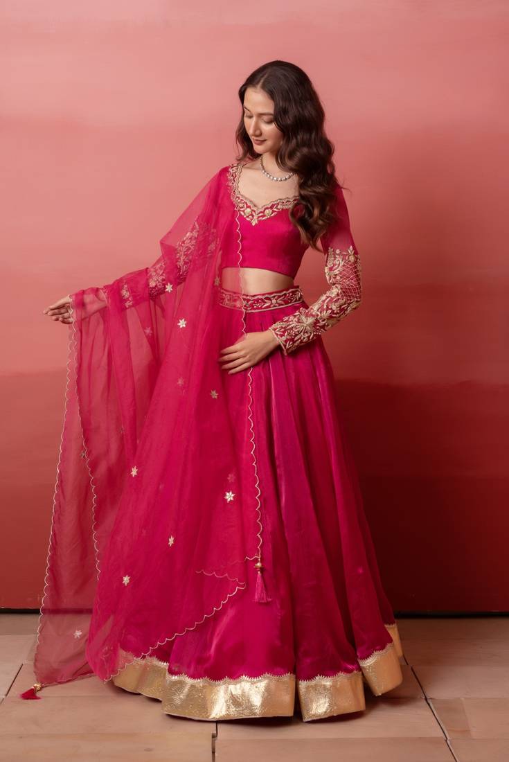 Rani Organza Handwork Gotapatti Lehenga Set with Handwork Blouse & Dupatta