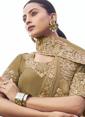 Chiku pure banarasi, sequince work, heavy embroidery & khatli work saree 2
