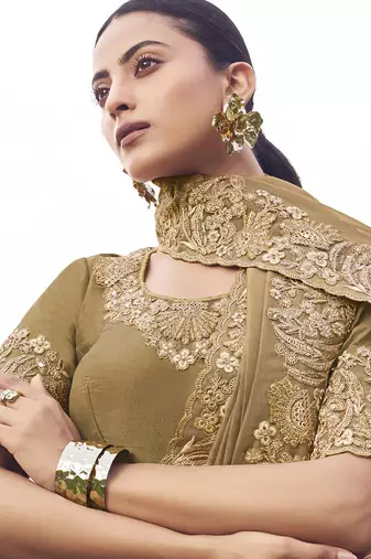 Chiku pure banarasi, sequince work, heavy embroidery & khatli work saree