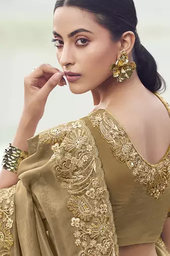Chiku pure banarasi, sequince work, heavy embroidery & khatli work saree