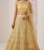 Yellow Sequin Embroidered Net Lehenga Set