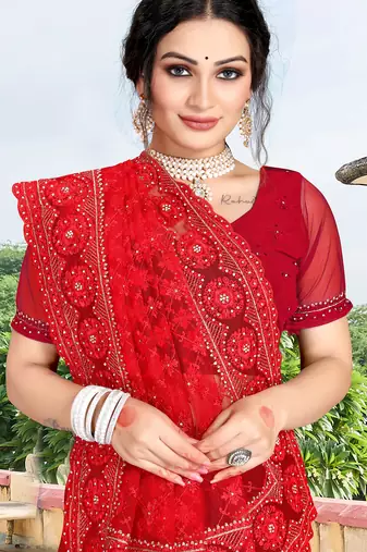 red net saree with zari sequin work