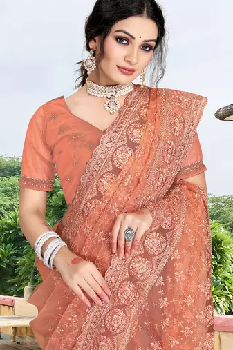 light brown net saree with sequin zari work