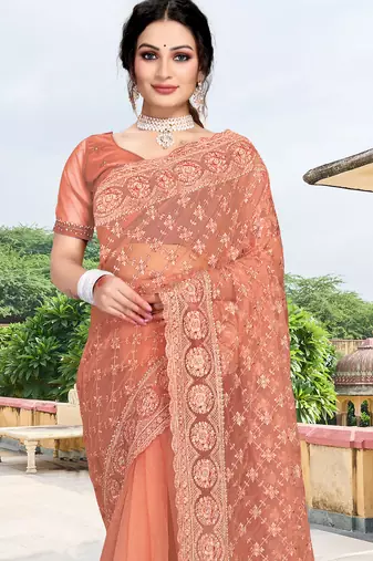 light brown net saree with sequin zari work