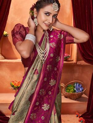 chiku jacquard south silk saree with zari work 2