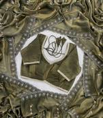 Mehendi fendy satin with beads embroidered work with stone border work saree with unstitched blouse