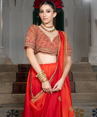 red organza saree with embroidered zari work 2