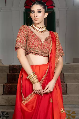 red organza saree with embroidered zari work