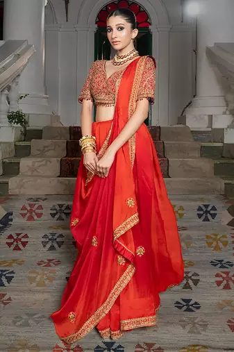 red organza saree with embroidered zari work