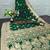 Green soft silk blend banarasi jacuard work designer party wear saree with unstitched blouse piece