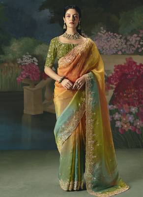 Fancy fabric embroidered saree in multicolor 1