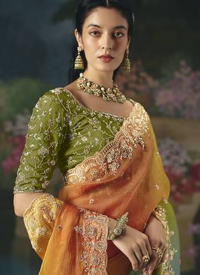 Fancy fabric embroidered saree in multicolor 2
